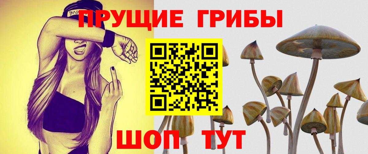 Псилоцибиновые грибы мицелий  как найти   Сорочинск  Вход с VPN 