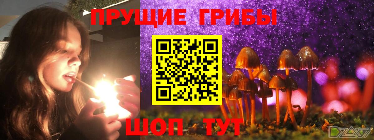 Псилоцибиновые грибы мицелий Сорочинск